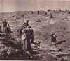 ZOUAVES Mareth 2.jpg (52974 octets)